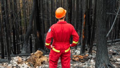 Live It Earth Episode One: Wildfire Regeneration/Forests