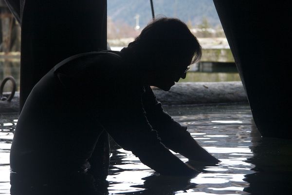 From Revelstoke to The Green Channel: How a Scientist Became the Voice of Living Things