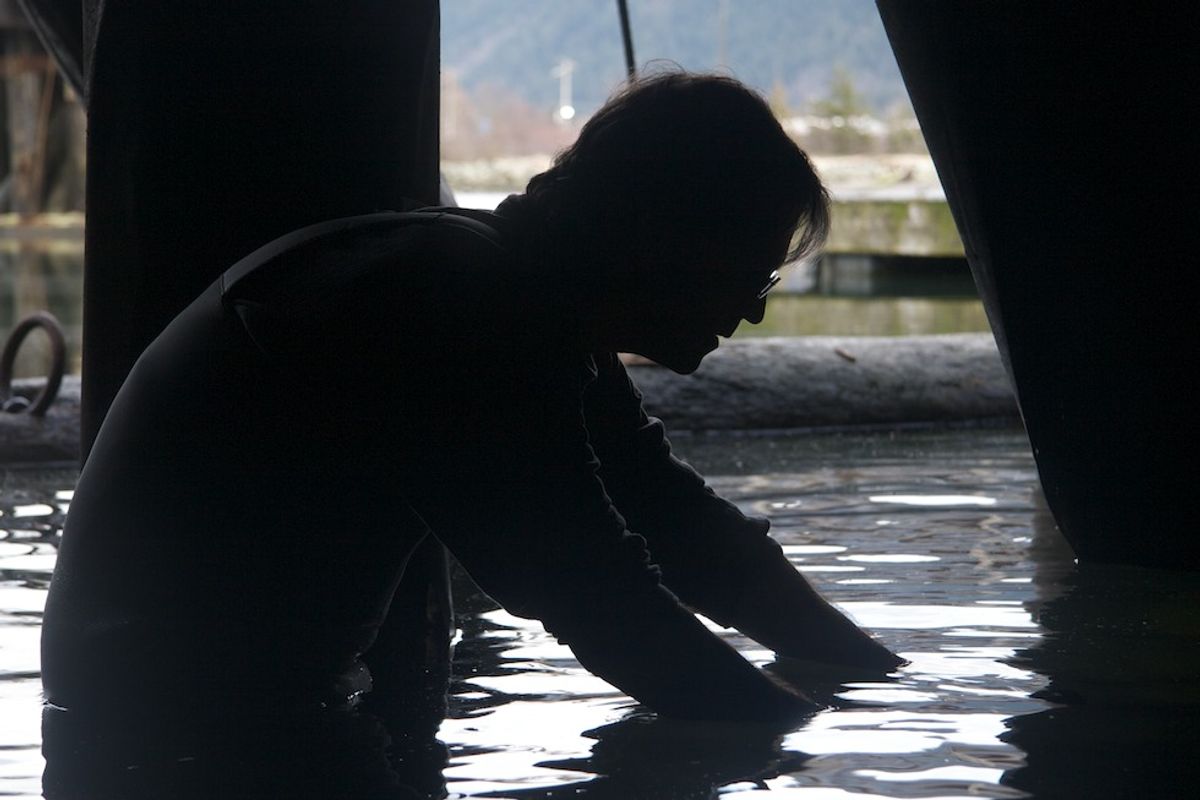 From Revelstoke to The Green Channel: How a Scientist Became the Voice of Living Things