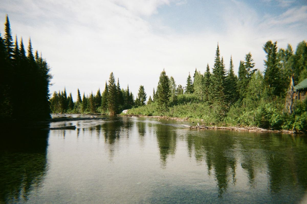119 Days in the Courtroom: Inside the Cohen Commission on Fraser River Sockeye