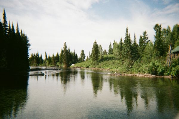 119 Days in the Courtroom: Inside the Cohen Commission on Fraser River Sockeye