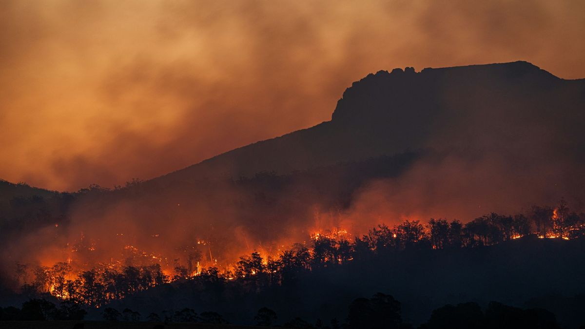 BC Wildfire Documentaries: Films About Canada’s Burning Forests