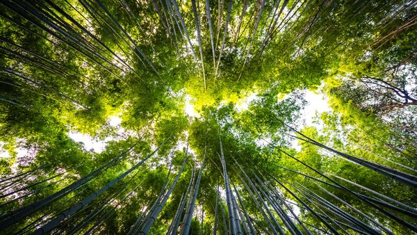 Beyond the Buzzword: Why Sustainability Is Not Enough
