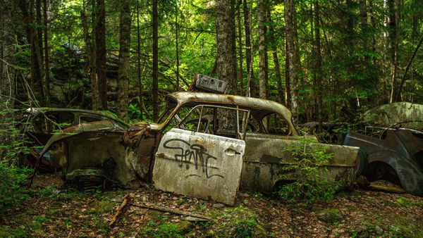 Why Old Car Graveyards Are Beautiful and Why They Get Cleaned Up