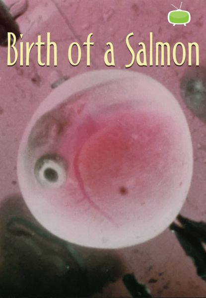 Birth of a Salmon
