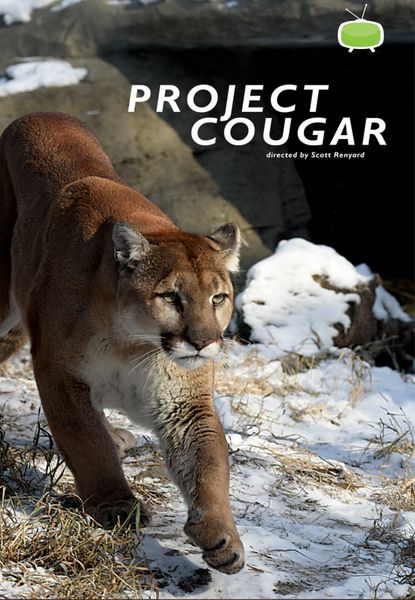 Project Cougar