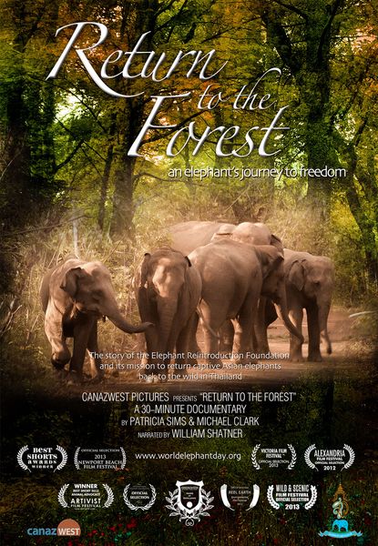 Return to the Forest