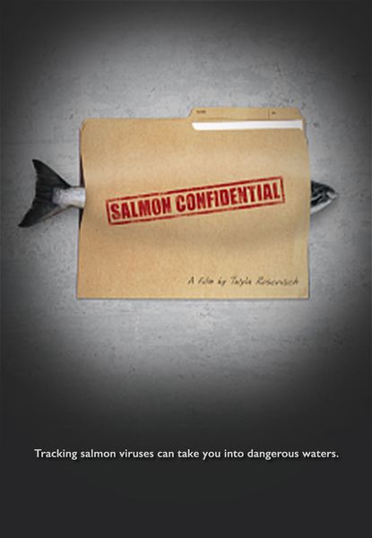 Salmon Confidential
