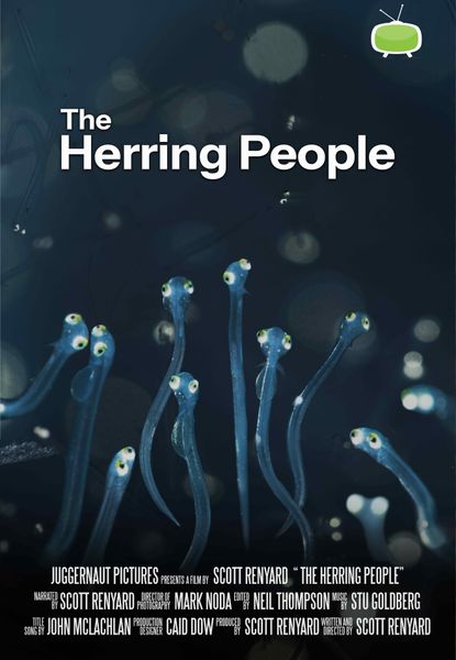 The Herring People