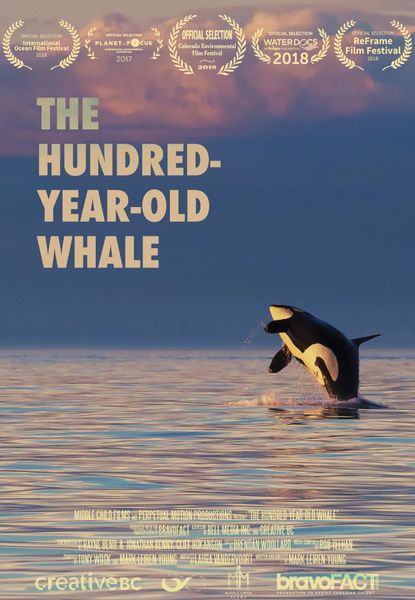 The Hundred-Year-Old Whale