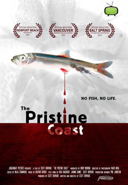 The Pristine Coast
