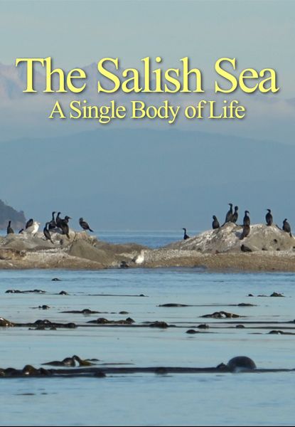 The Salish Sea - A Single Body of Life