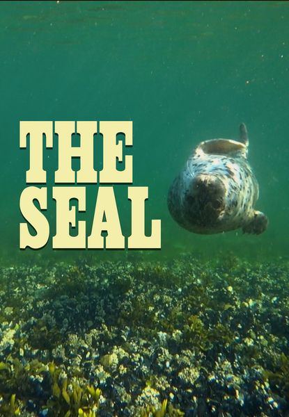The Seal: Howe Sound - Atl'Ka7tsem