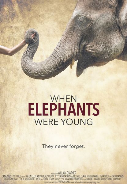 When Elephants Were Young
