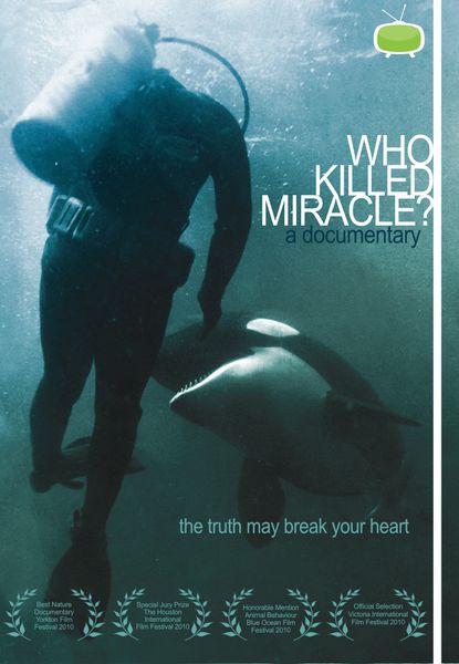 Who Killed Miracle?