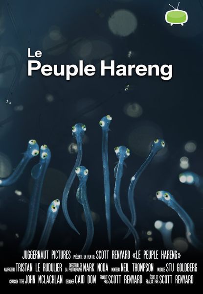 Le Peuple du Hareng