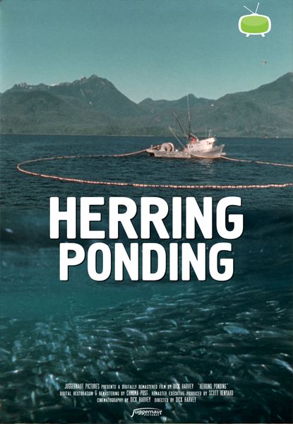 Herring Ponding: A Report